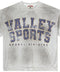 Vale Sports Division Gym Grey Tee