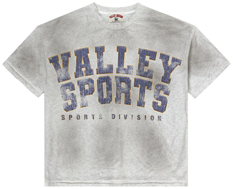 Vale Sports Division Gym Grey Tee