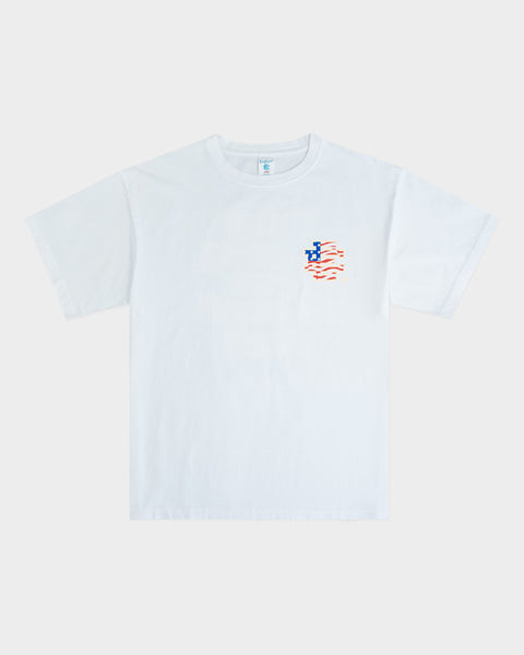 Eric Emanuel Basic USA Logo White Tee