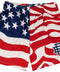 Eric Emanuel American Flag Shorts