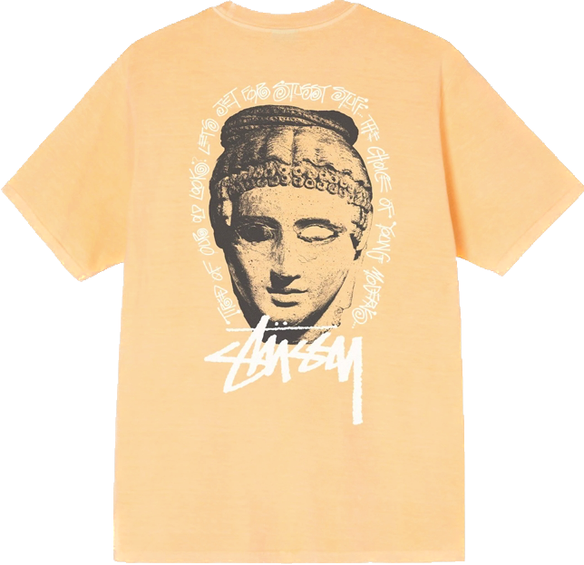 Stussy Young Moderens Peach Tee