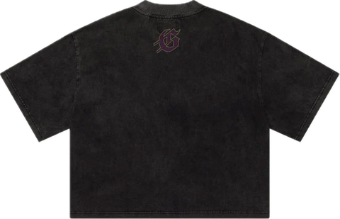 Godspeed Westworld Grey Tee