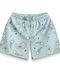 Bravest Studios Sky Paisley V3 Shorts