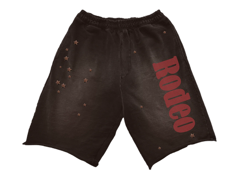 Cactus Jack Sp5der Days Before Rodeo Brown Shorts
