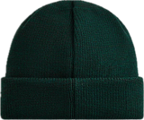 Kith Classic Green Beanie