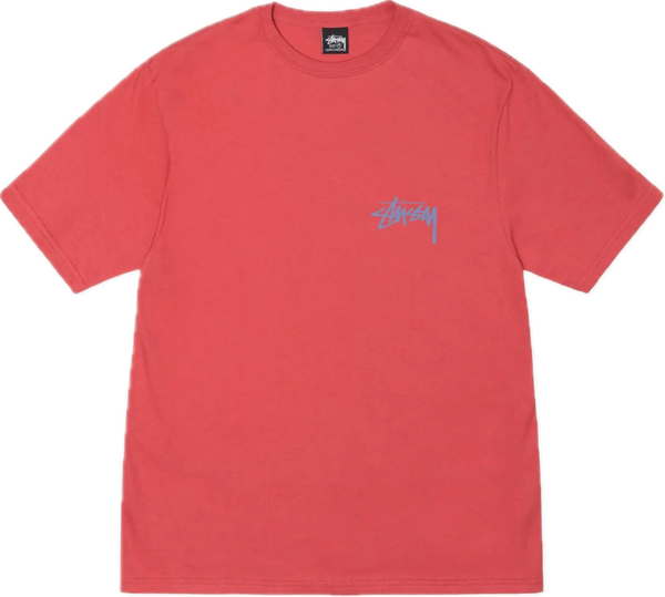 Stussy Classroom Pepper Tee