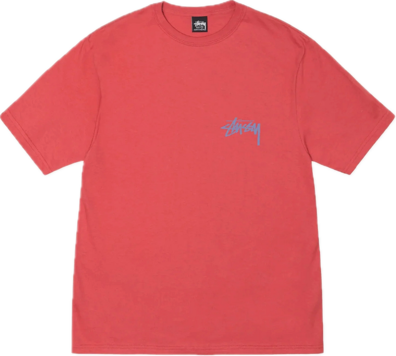 Stussy Classroom Pepper Tee