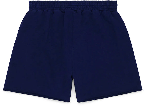 Sp5der OG Web Logo Navy Shorts