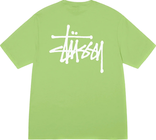 Stussy Basic Tea Tee