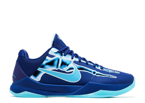 X Ray Kobe 5
