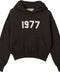 Essentials Kids 1977 Iron Hoodie