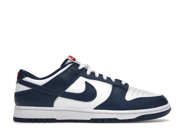 Valerian Dunk Low