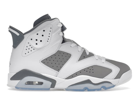Cool Grey Jordan 6